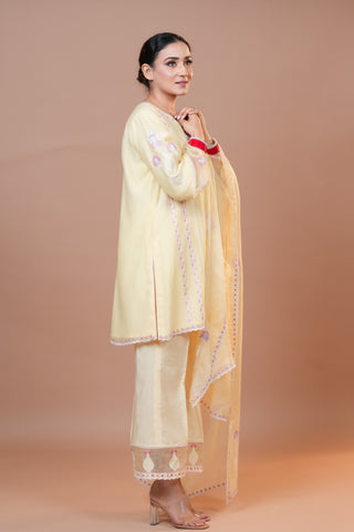 Mal Chanderi Suit Pastel yellow