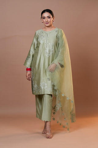 Silk Chanderi suit