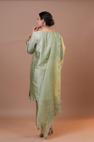 Silk Chanderi suit